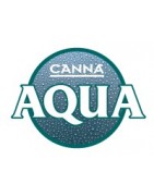 Canna Aqua