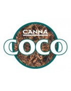 Canna Coco