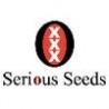 SERIOUS SEEDS