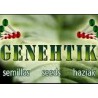 GENEHTIK
