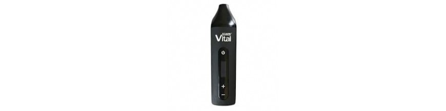 Accesorios Vital