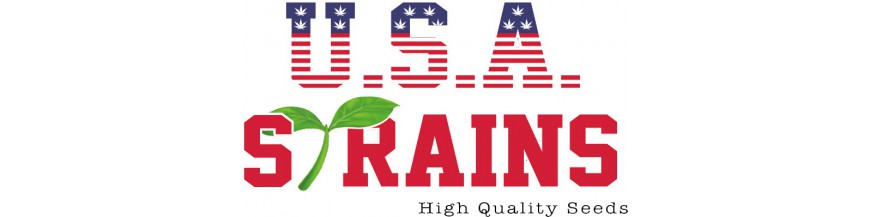 USA STRAIN MR. HIDE