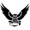 Falcon 