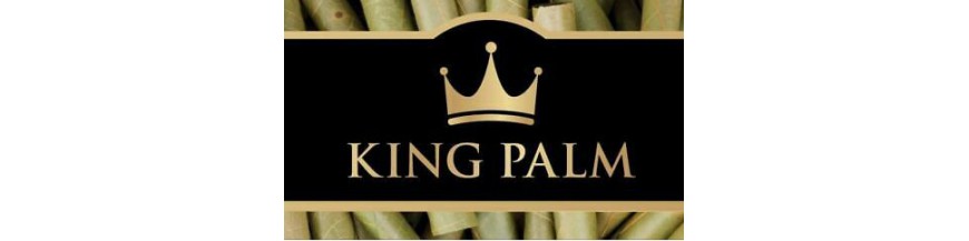 King Palm conos enrollados de hoja natural
