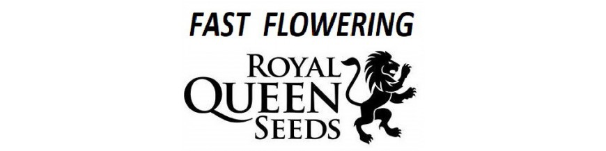 Fast flowering rqs