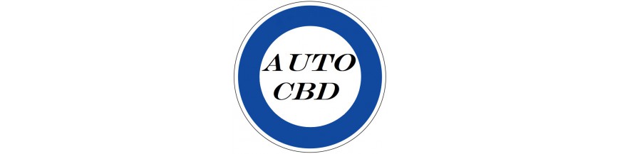 Semillas Pyramid Seeds CBD Auto