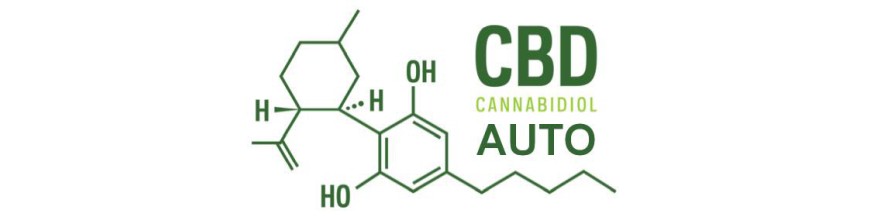 Auto CBD 420 FastBuds