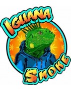 Iguana Smoke CBD