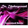 Dr. Underground