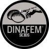 Dinafem