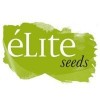 Elite Seeds