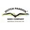 Dutch Passion