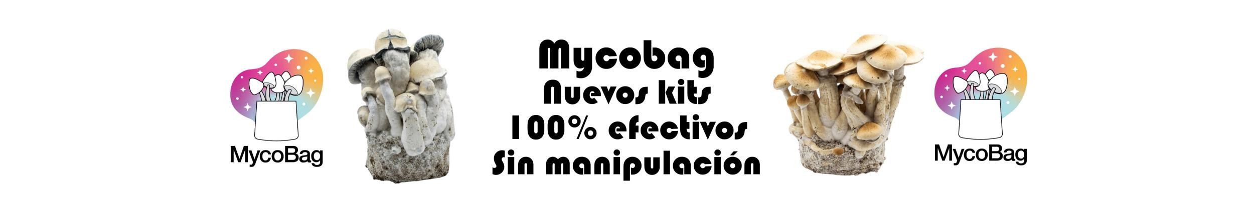 Slide7